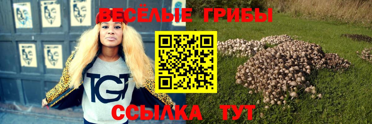 Псилоцибиновые грибы мухоморы Киржач