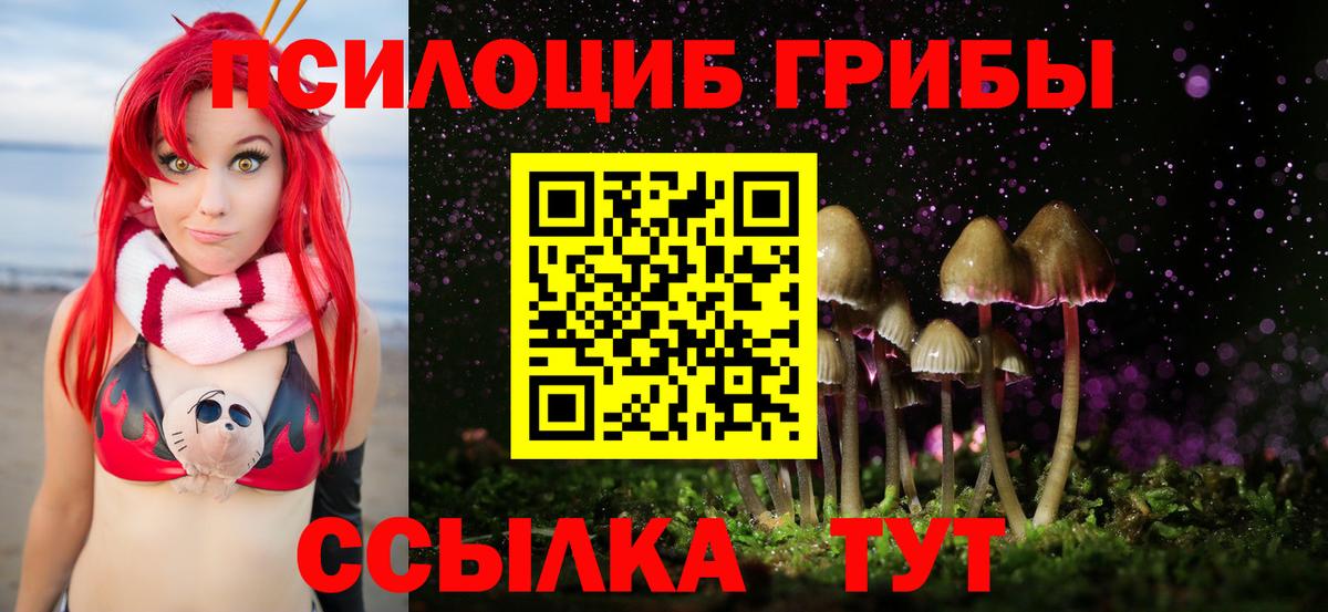 Псилоцибиновые грибы мицелий  Вход с VPN  Киржач 
